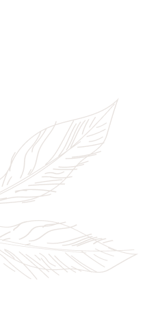 banner_3_sustentabilidade