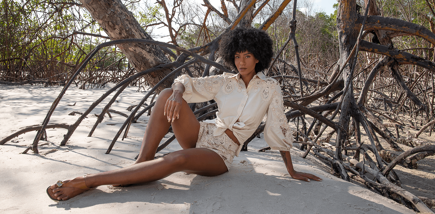 banner_4_meio_ambiente